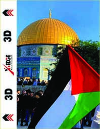 XEDGE(172) copy
