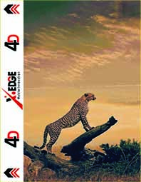 623